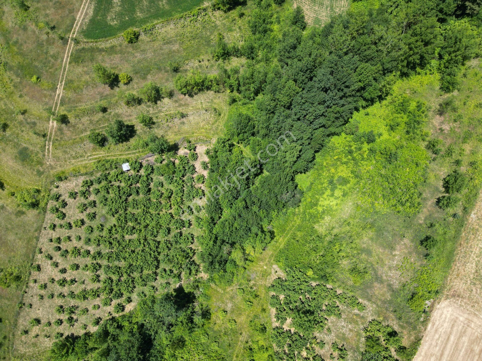 Kandıra'da Organizye 500 Metre İmar Alanı İçinde Araç Takaslı - Görsel 24