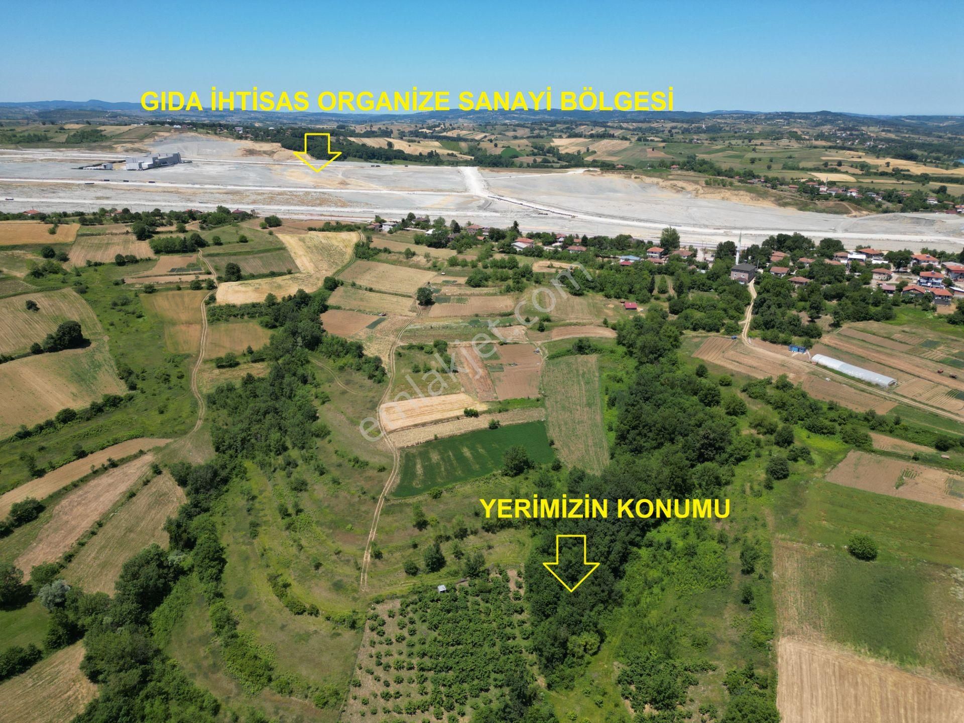 Kandıra'da Organizye 500 Metre İmar Alanı İçinde Araç Takaslı - Görsel 3