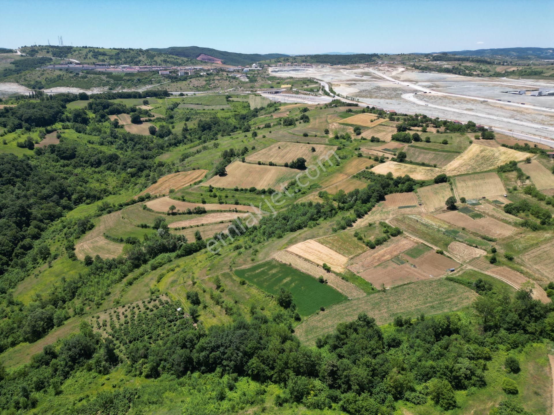 Kandıra'da Organizye 500 Metre İmar Alanı İçinde Araç Takaslı - Görsel 17