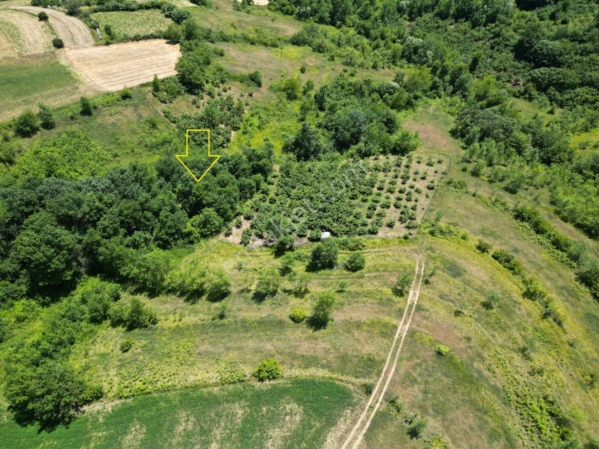 Kandıra'da Organizye 500 Metre İmar Alanı İçinde Araç Takaslı - Görsel 11