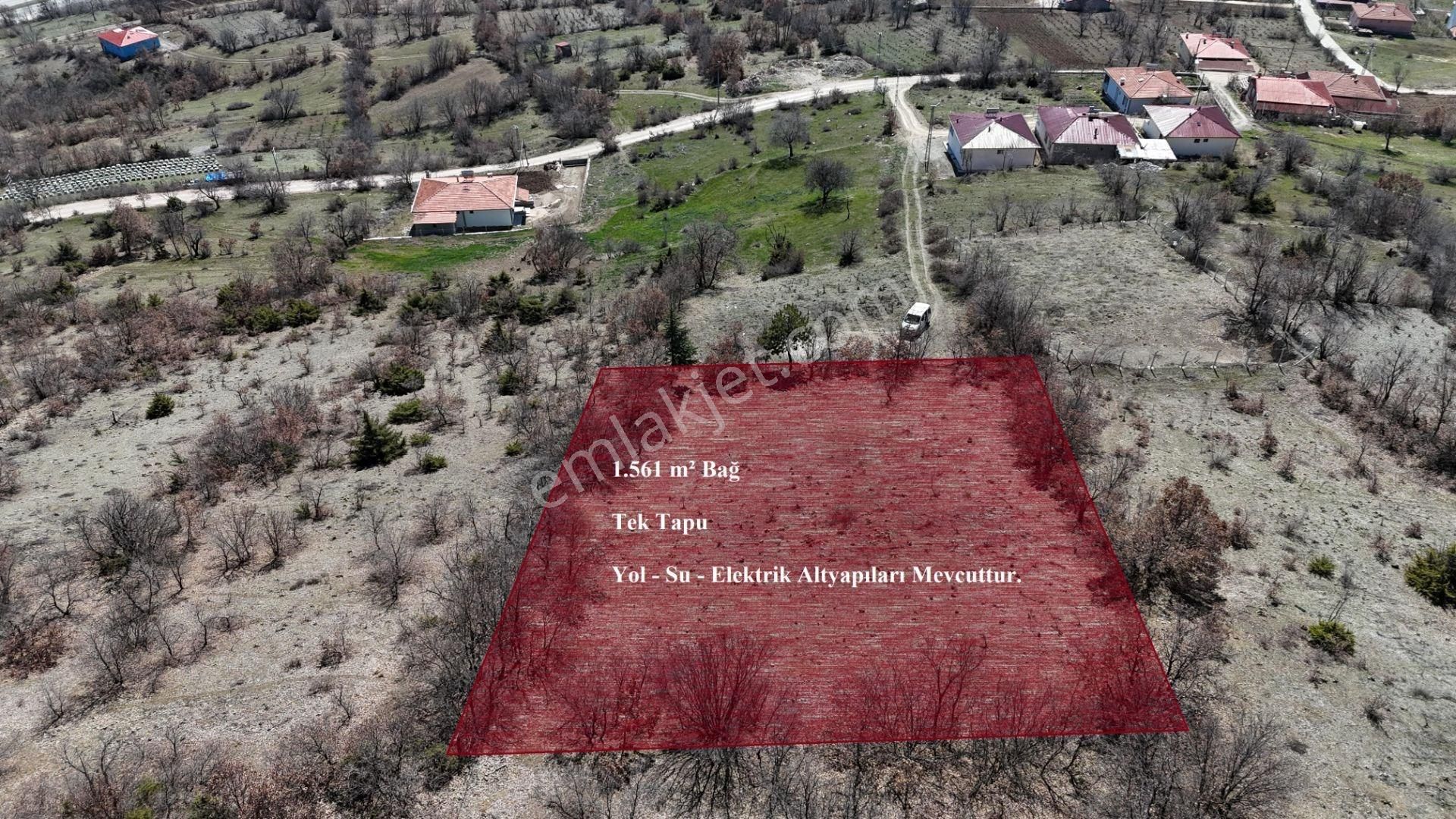 Vadi Emlak'tan Yazıbaşı Köyü'nde Satılık 1561 M² Bağ
