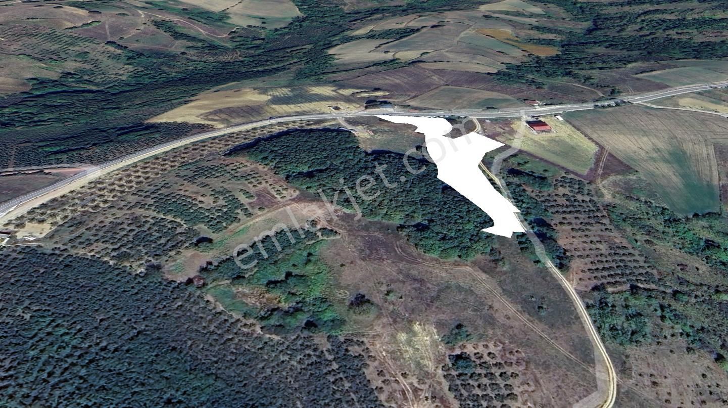 Kocaeli Kandıra Ahmethacılar 4917 M2 Satılık Tarla - Görsel 3