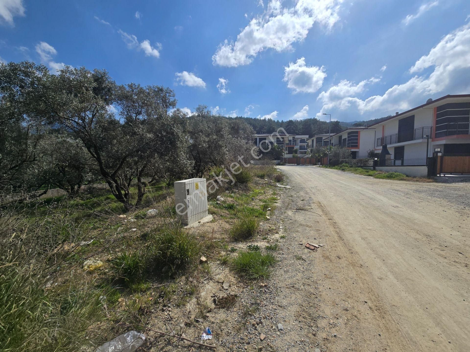 Kuşadası Davutlar Satılık Konut İmarlı Kuşadası Davutlar'da Rüya Gibi Villa Arsası! Milli Park Manzarası Ve Yatırım Fırsatı!