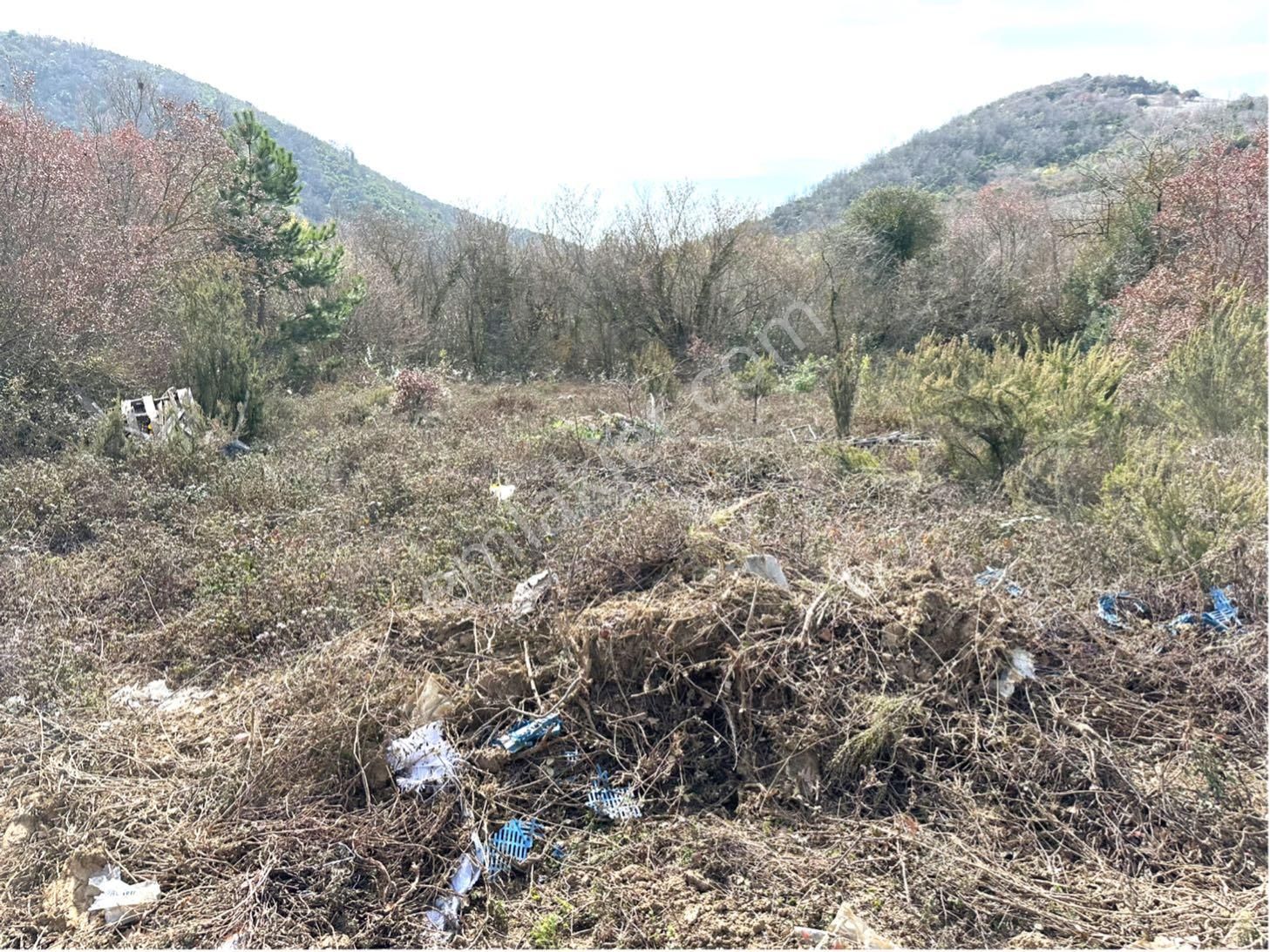 Tırpan Gayrimenkulden Kaymakobada 425m2 Tek Tapu Asfalta 1 Parsel Tarla - Görsel 15