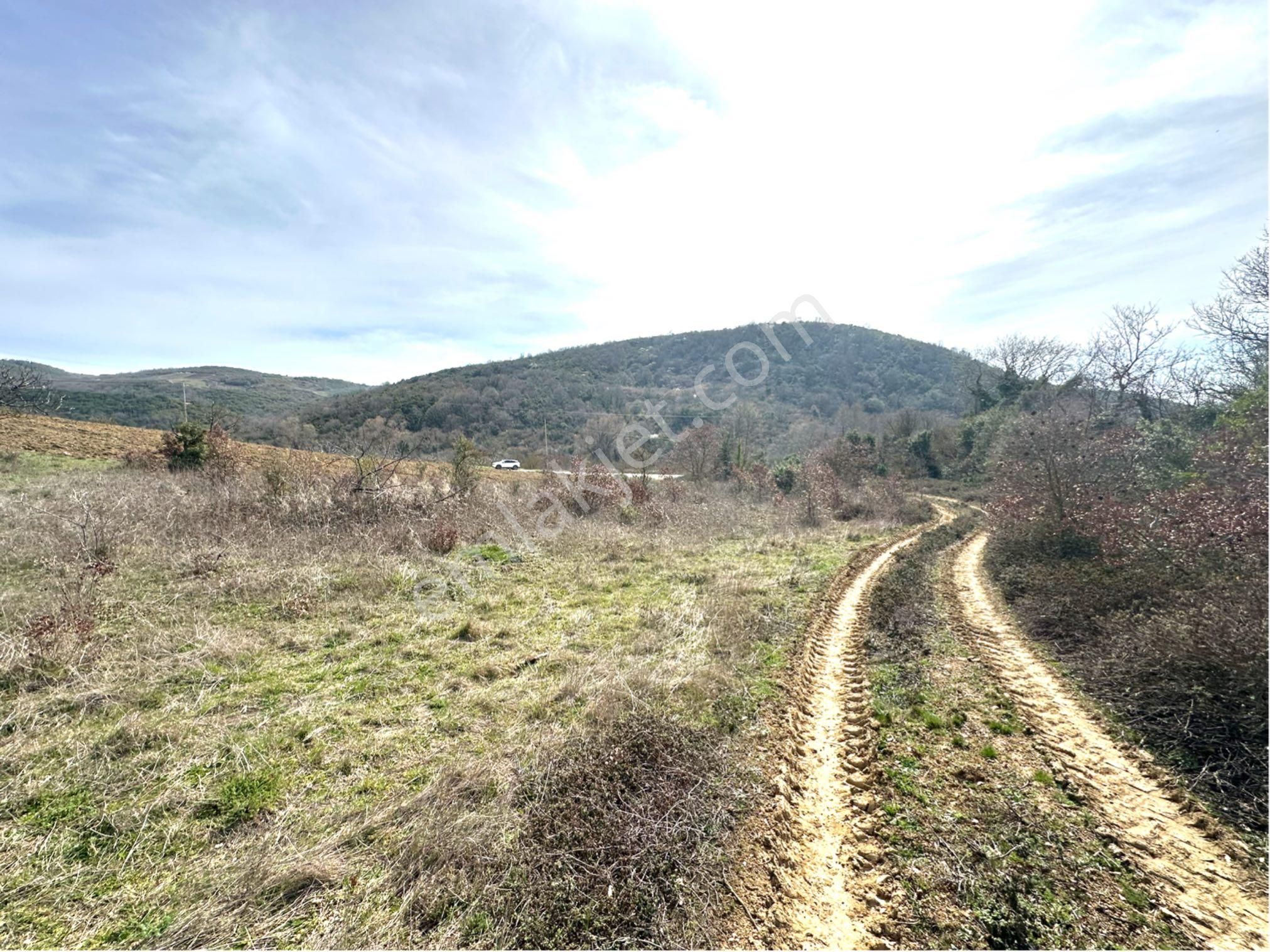 Tırpan Gayrimenkulden Kaymakobada 425m2 Tek Tapu Asfalta 1 Parsel Tarla - Görsel 6