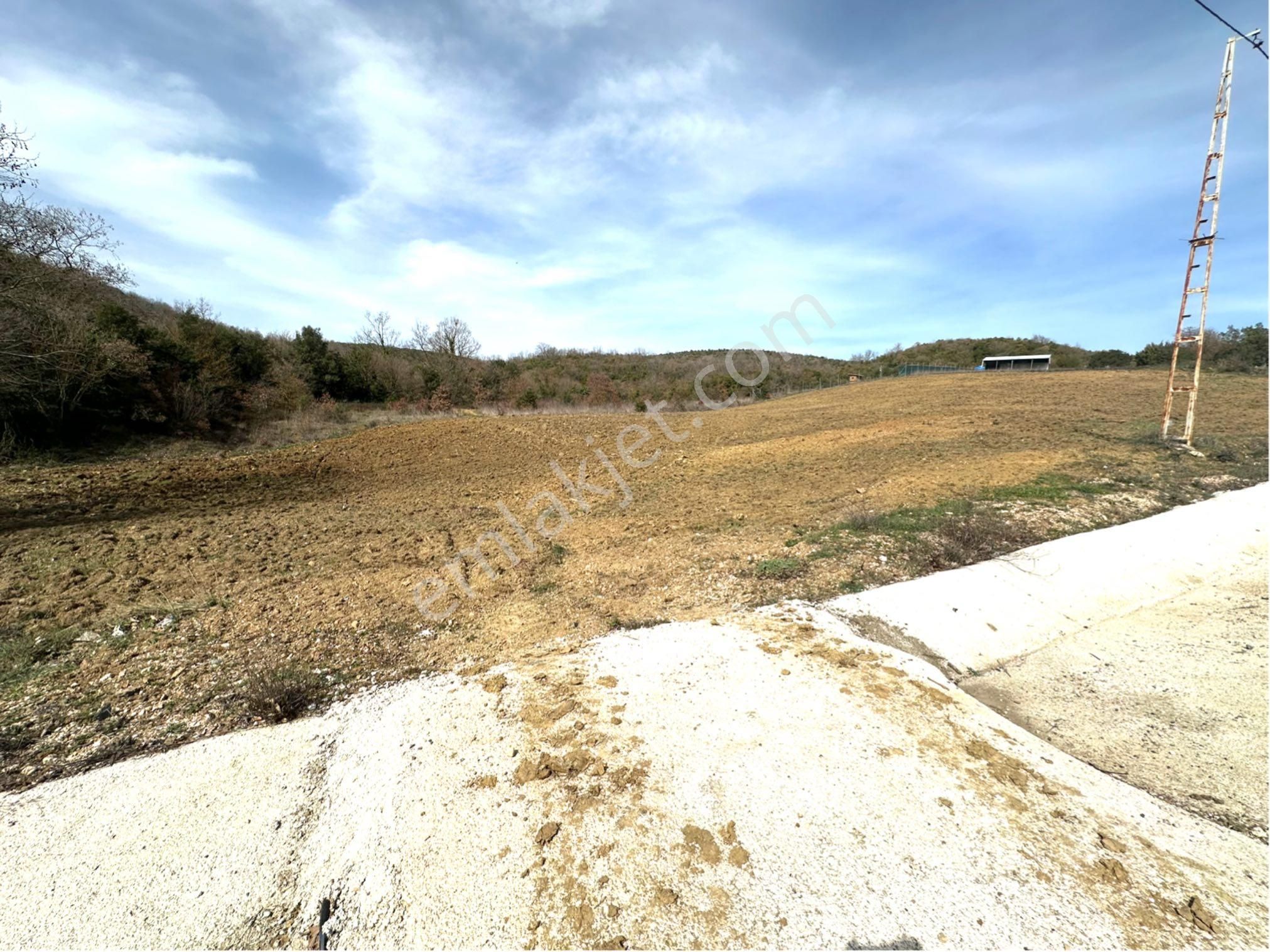 Tırpan Gayrimenkulden Kaymakobada 425m2 Tek Tapu Asfalta 1 Parsel Tarla - Görsel 9