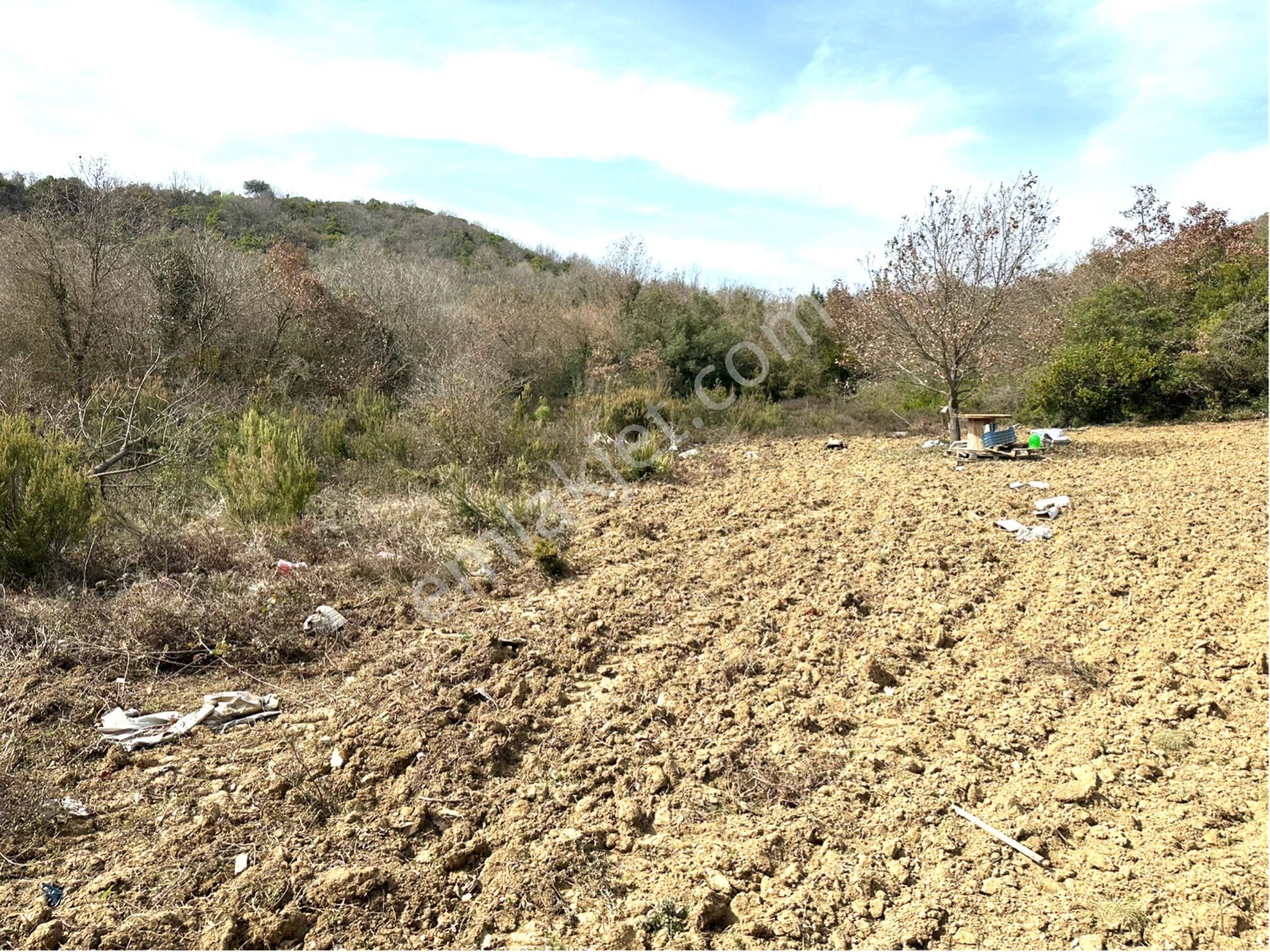 Tırpan Gayrimenkulden Kaymakobada 425m2 Tek Tapu Asfalta 1 Parsel Tarla - Görsel 17