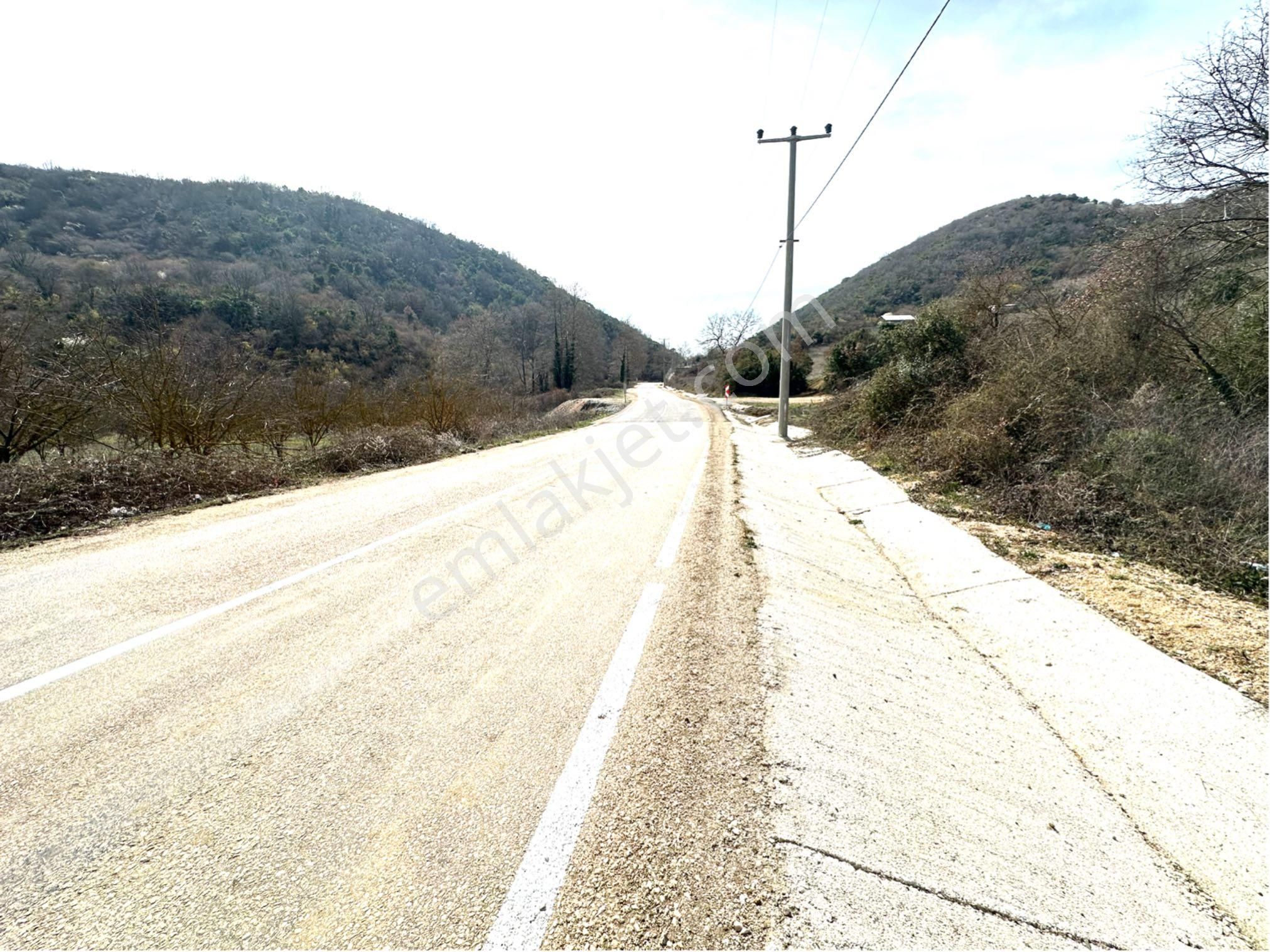 Tırpan Gayrimenkulden Kaymakobada 425m2 Tek Tapu Asfalta 1 Parsel Tarla - Görsel 8