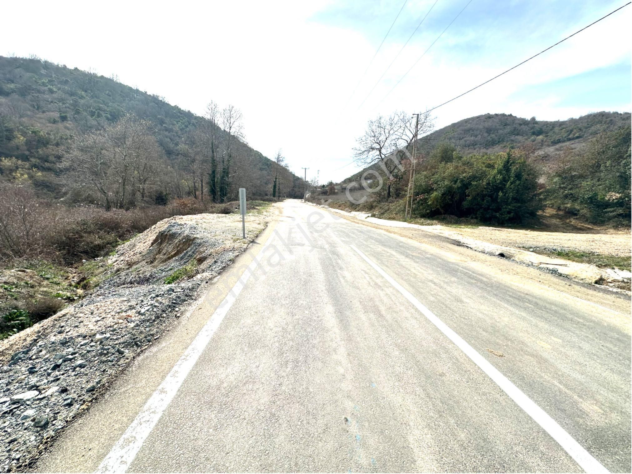 Tırpan Gayrimenkulden Kaymakobada 425m2 Tek Tapu Asfalta 1 Parsel Tarla - Görsel 12