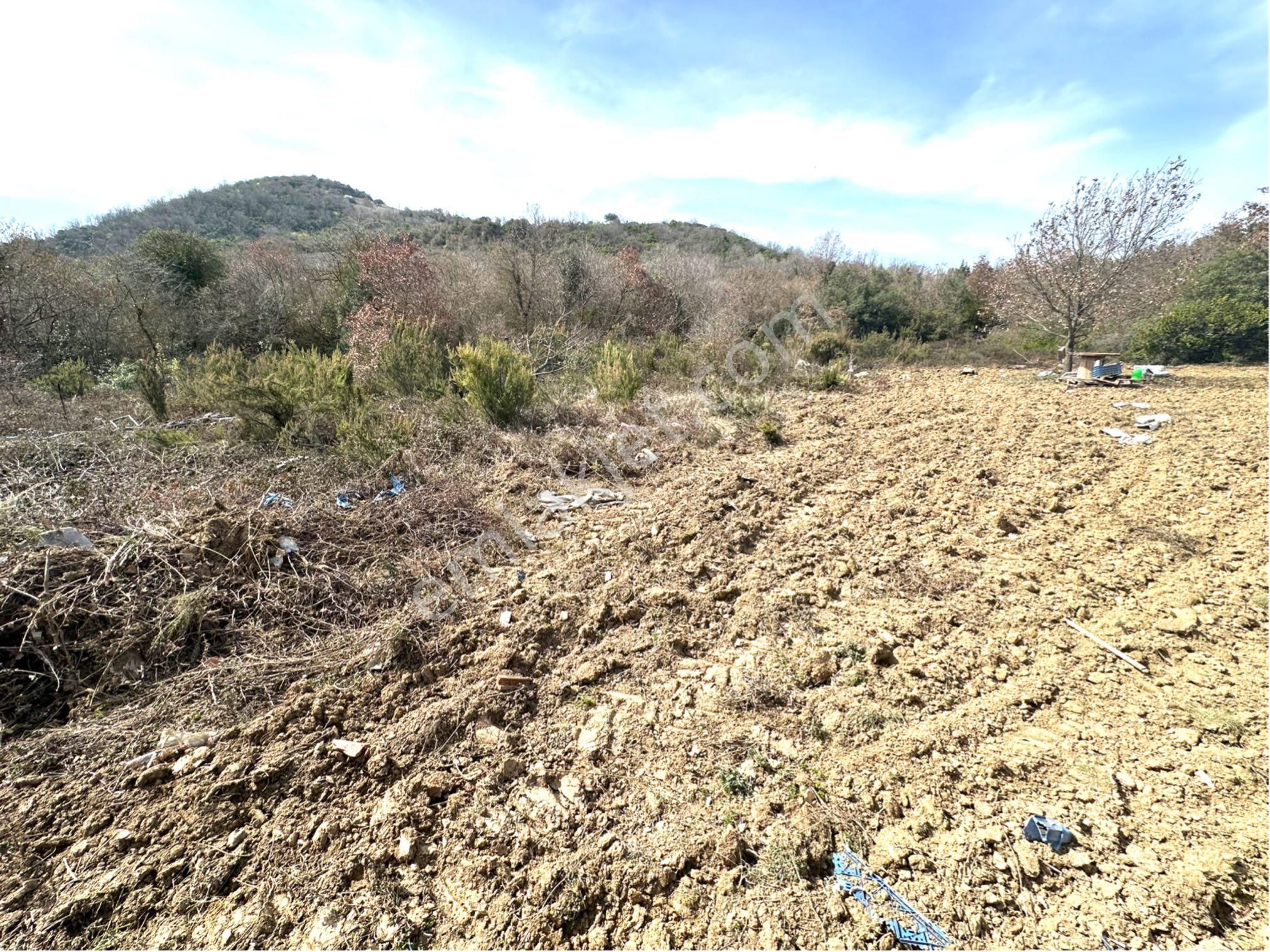 Tırpan Gayrimenkulden Kaymakobada 425m2 Tek Tapu Asfalta 1 Parsel Tarla - Görsel 3