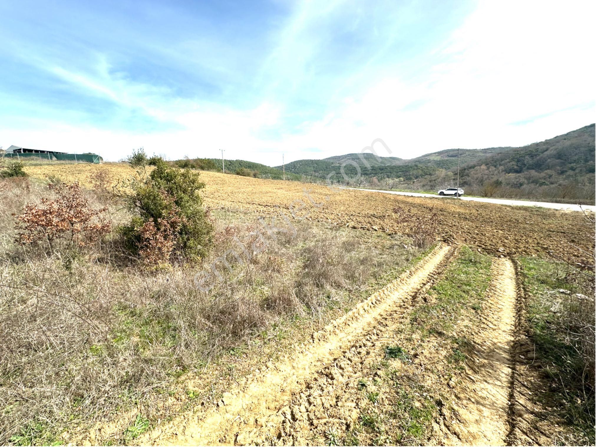 Tırpan Gayrimenkulden Kaymakobada 425m2 Tek Tapu Asfalta 1 Parsel Tarla - Görsel 11