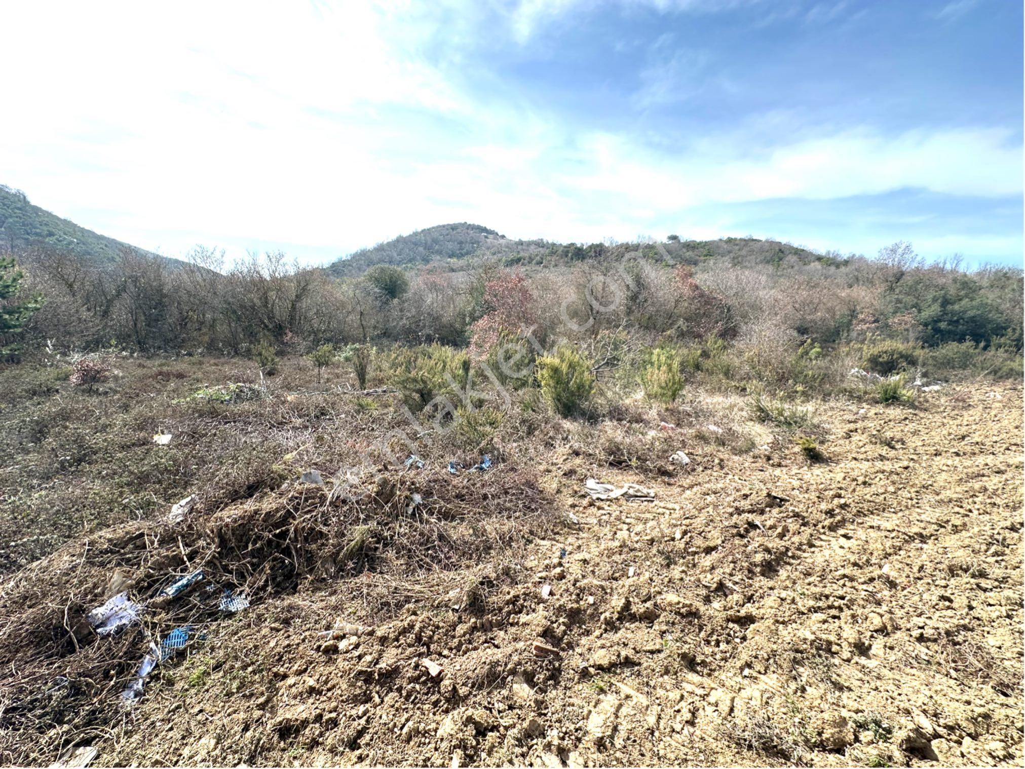 Tırpan Gayrimenkulden Kaymakobada 425m2 Tek Tapu Asfalta 1 Parsel Tarla - Görsel 14