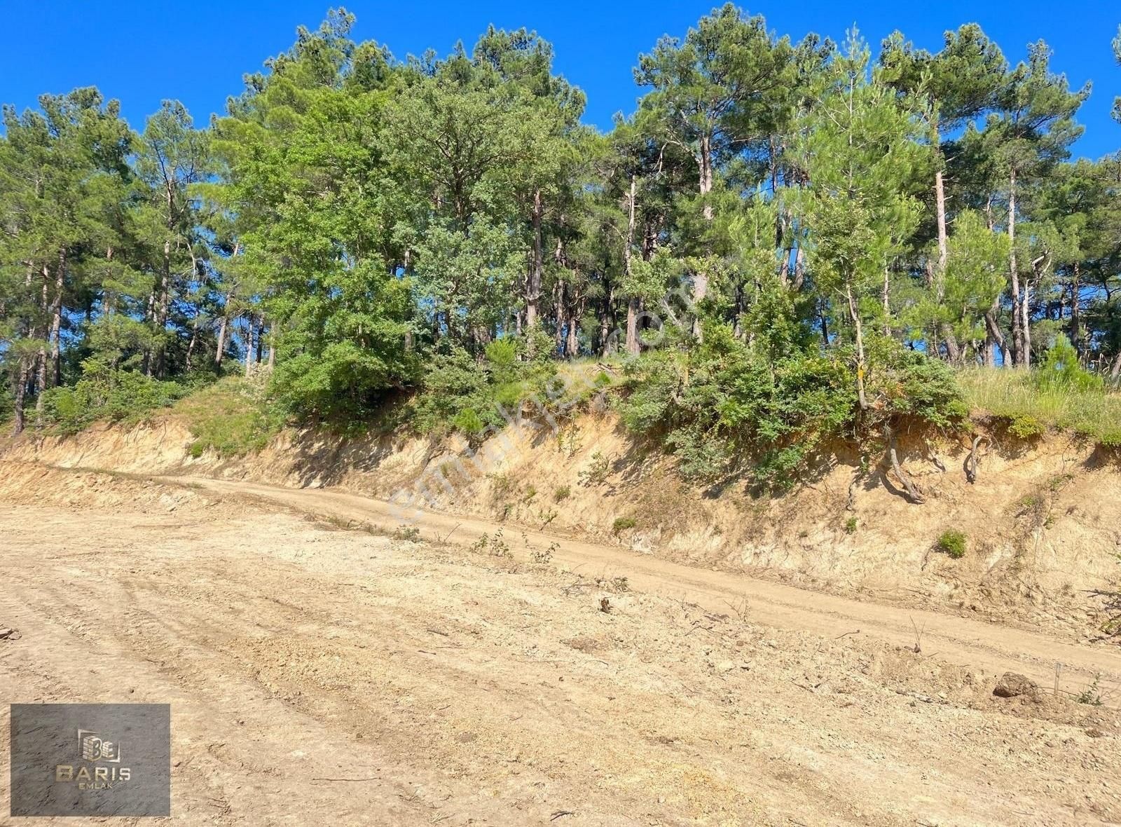 Çanakkale Bayramiç Karaköy'de Satılık İmarlı Arsa - Görsel 2