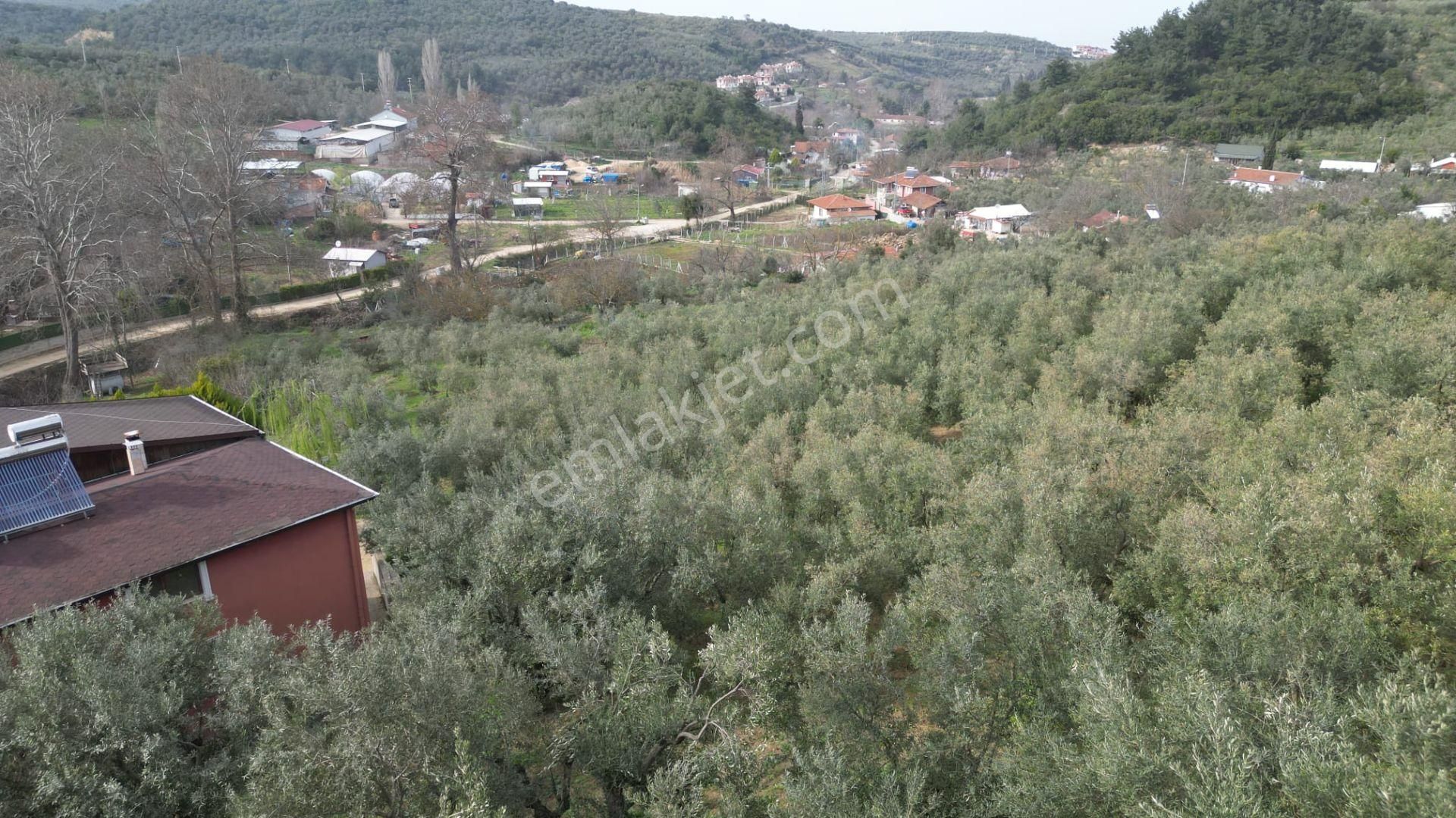 Çelik'ten Mudanya Trilye'de Satılık Doğa Manzaralı 6+3 Villa - Görsel 27