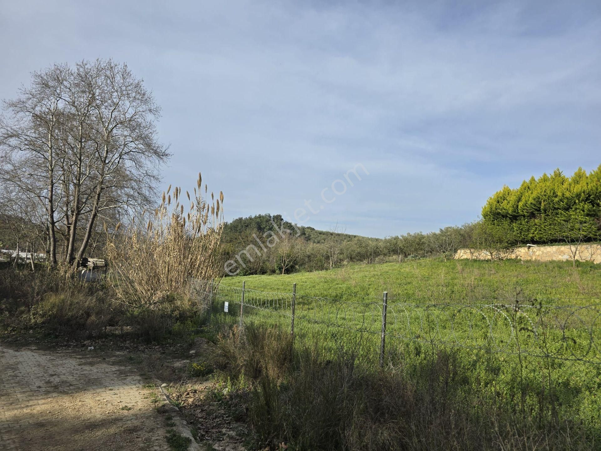 Çelik'ten Mudanya Trilye'de Satılık Doğa Manzaralı 6+3 Villa - Görsel 10