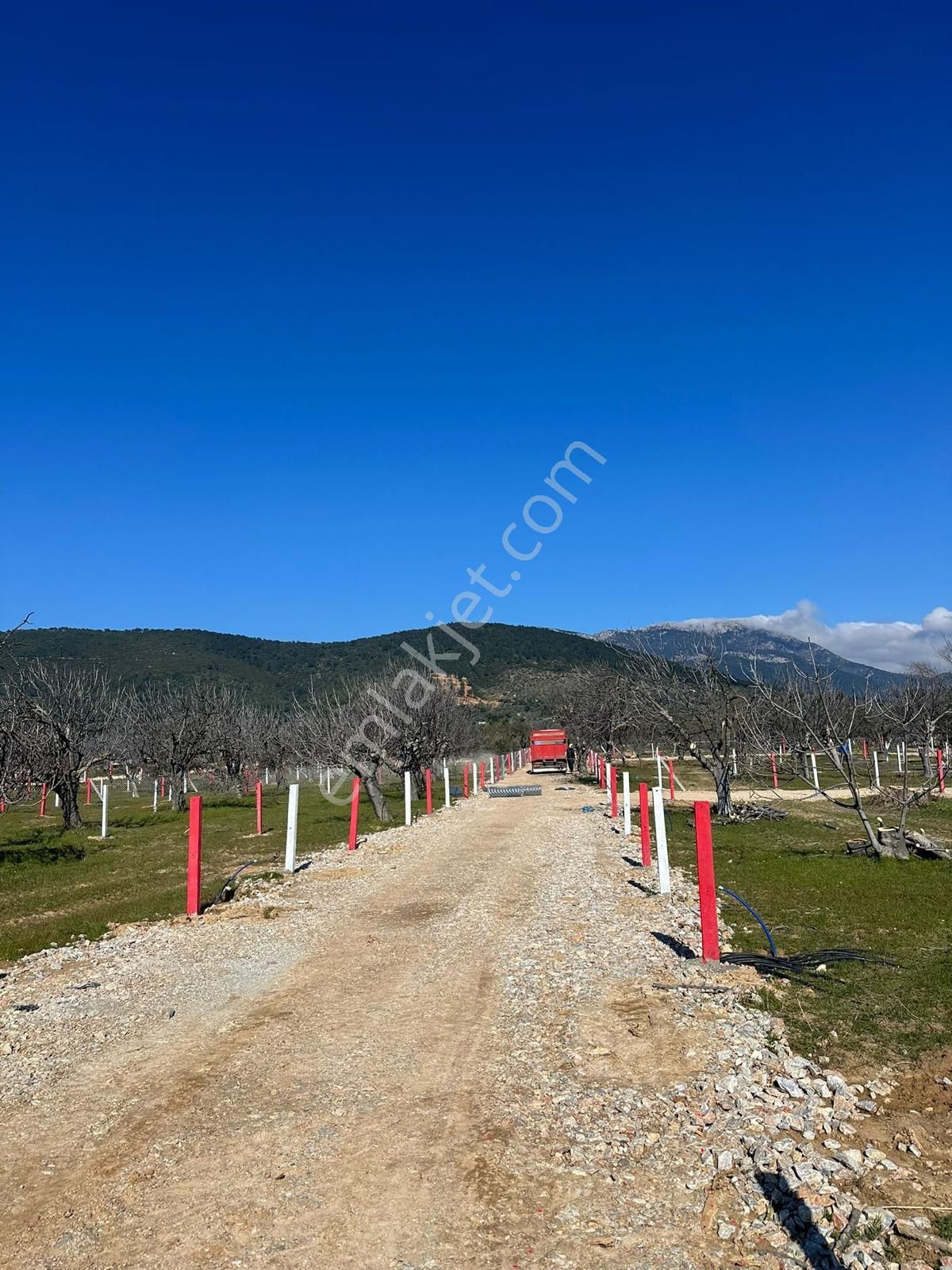 Torbalı Dağkızılca Satılık Bağ & Bahçe İzmir Torbalı Da Kooperatif Hisse