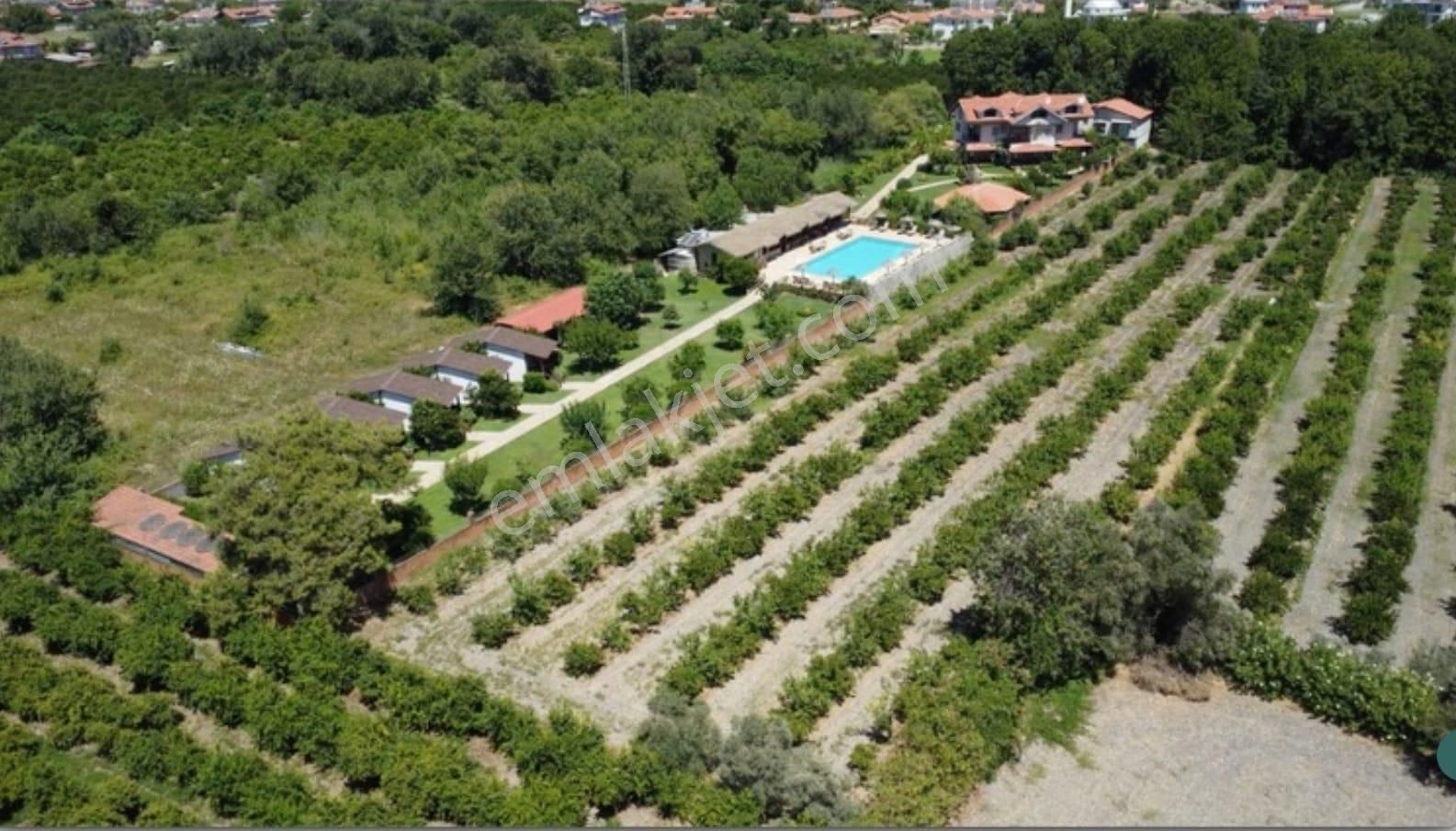 Muğla Ortaca Satılık Butik Otel Dalyanda Satılık Butik Otel Yüksek Cirolu Hazır Müşterili (dt17)