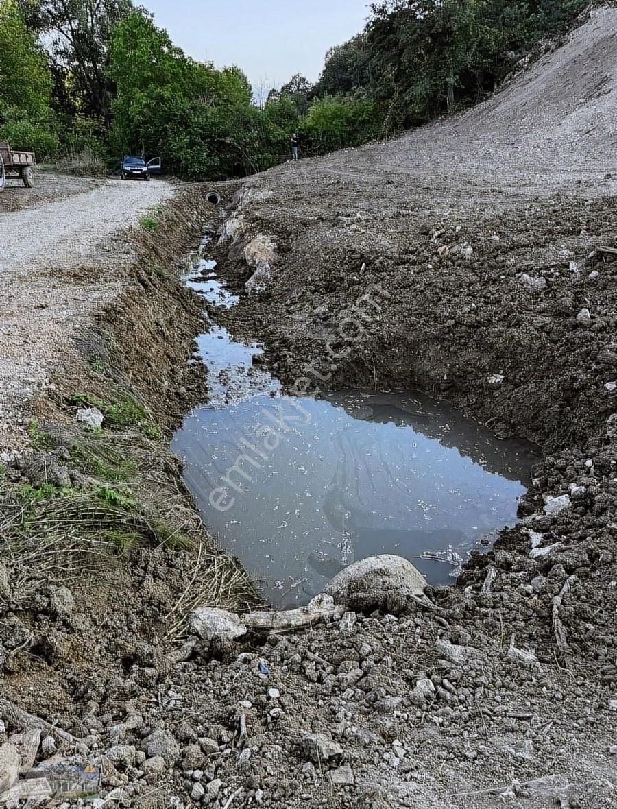 Kestel Ümitalan Satılık Tarla Ümitalanda Yola Cephe 1007 Metre Arazi