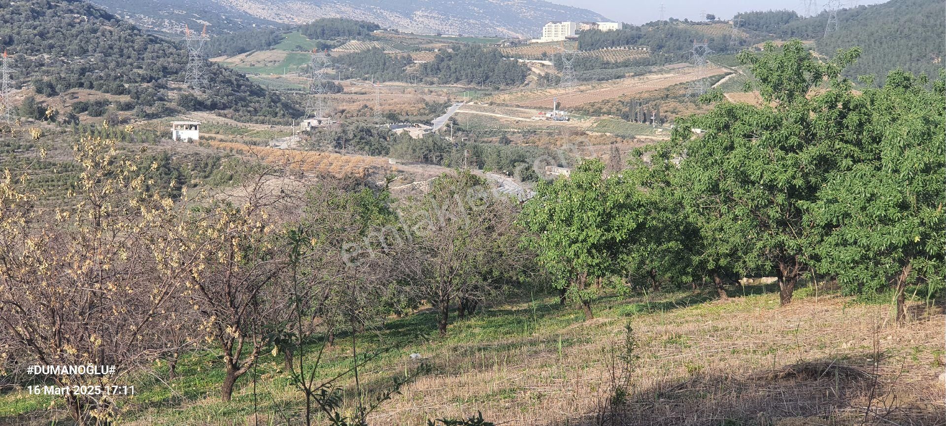 Akdeniz Camili Satılık Bağ & Bahçe 🌿 Satılık 7 Dönüm Tek Tapu Badem Bahçesi 🌿