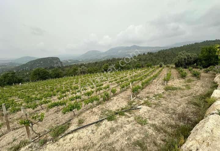 Toroslar Çelebili Satılık Bağ & Bahçe Mersin Toroslar’da Eşsiz Yatırım Fırsatı! 🍇🏡