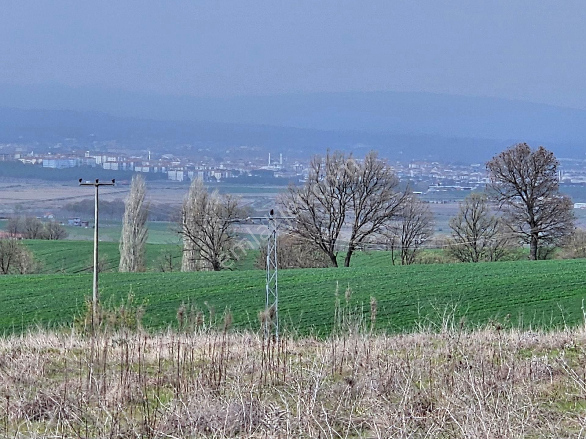 Gönen Çınarlı Satılık Tarla Gönen Çınarlı Köyün'de Satılık Tarla