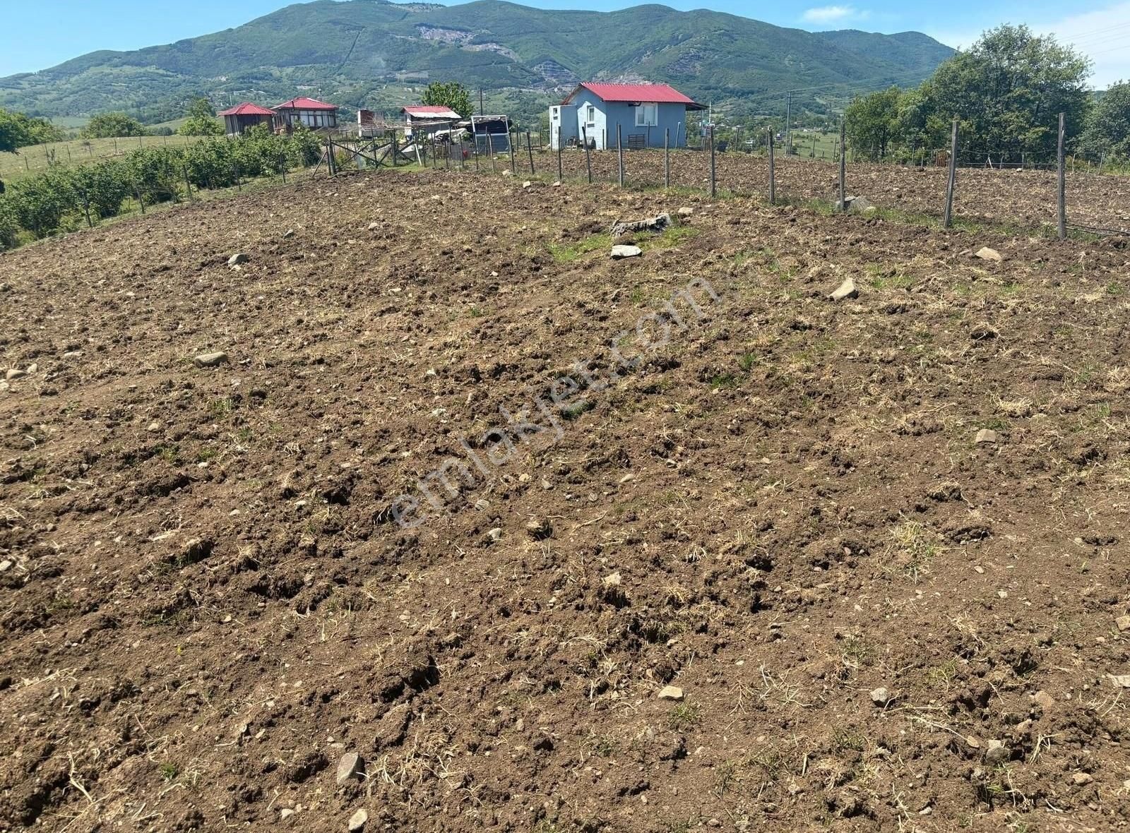 Atakum Sarıtaş Satılık Tarla Samsun Atakum Saritasta Satılık Tarla