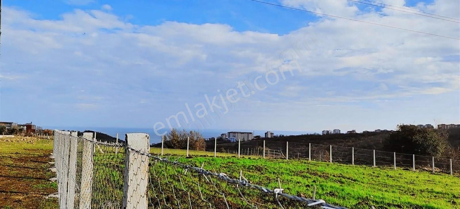 Atakum Büyükoyumca Satılık Villa İmarlı **büyükoyumca'da Villalık Köşe Satılık Arsa**