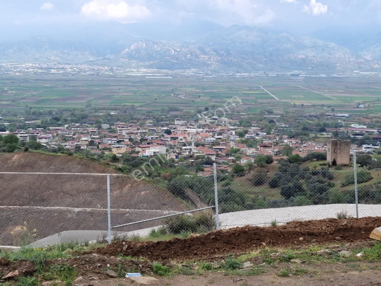 Aydın Nazilli Yöntem Emlaktan Yenipazar Donduran Mahallesine Yakın Satılık Zeytinlik - Görsel 13
