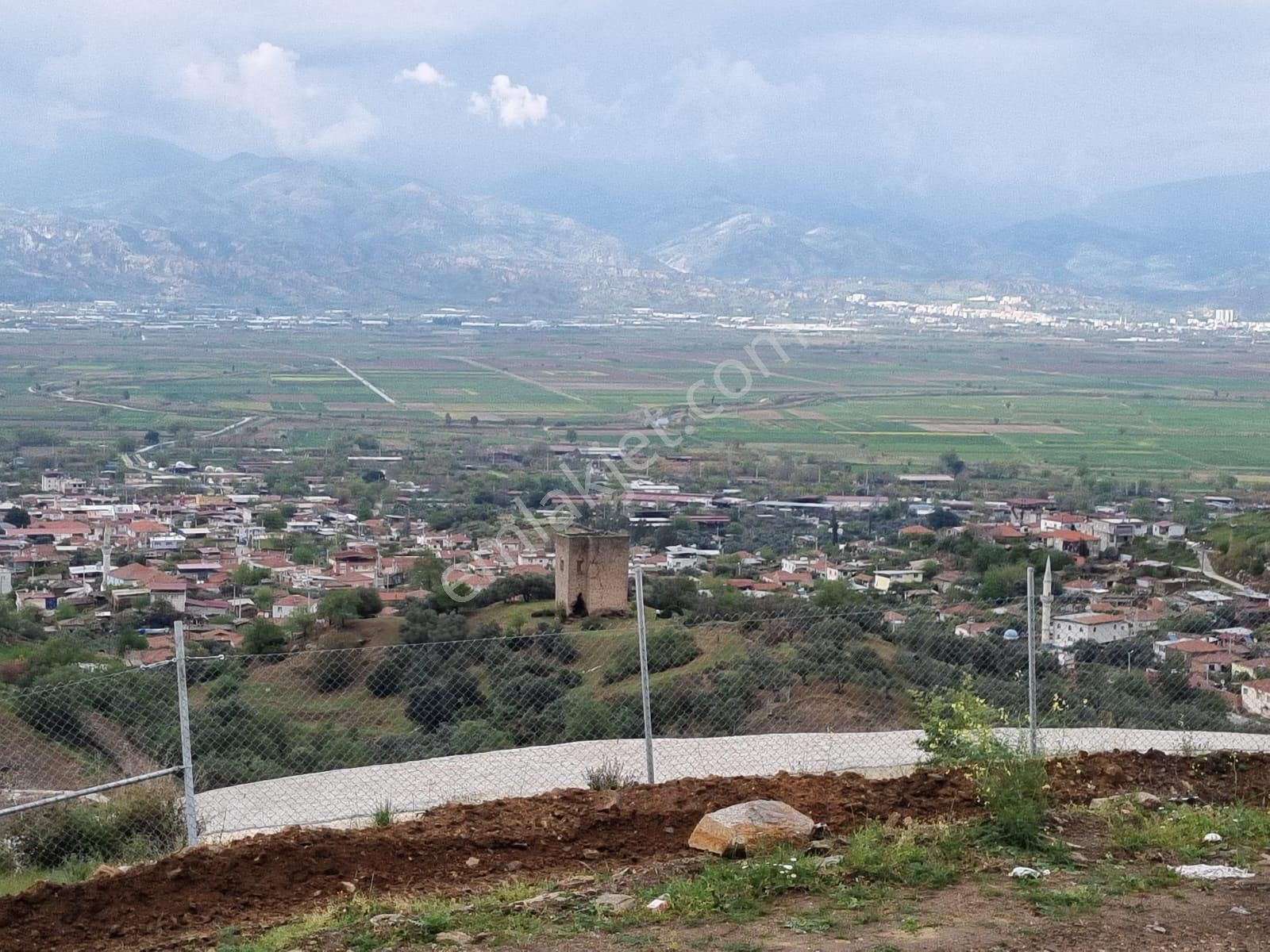Aydın Nazilli Yöntem Emlaktan Yenipazar Donduran Mahallesine Yakın Satılık Zeytinlik - Görsel 2