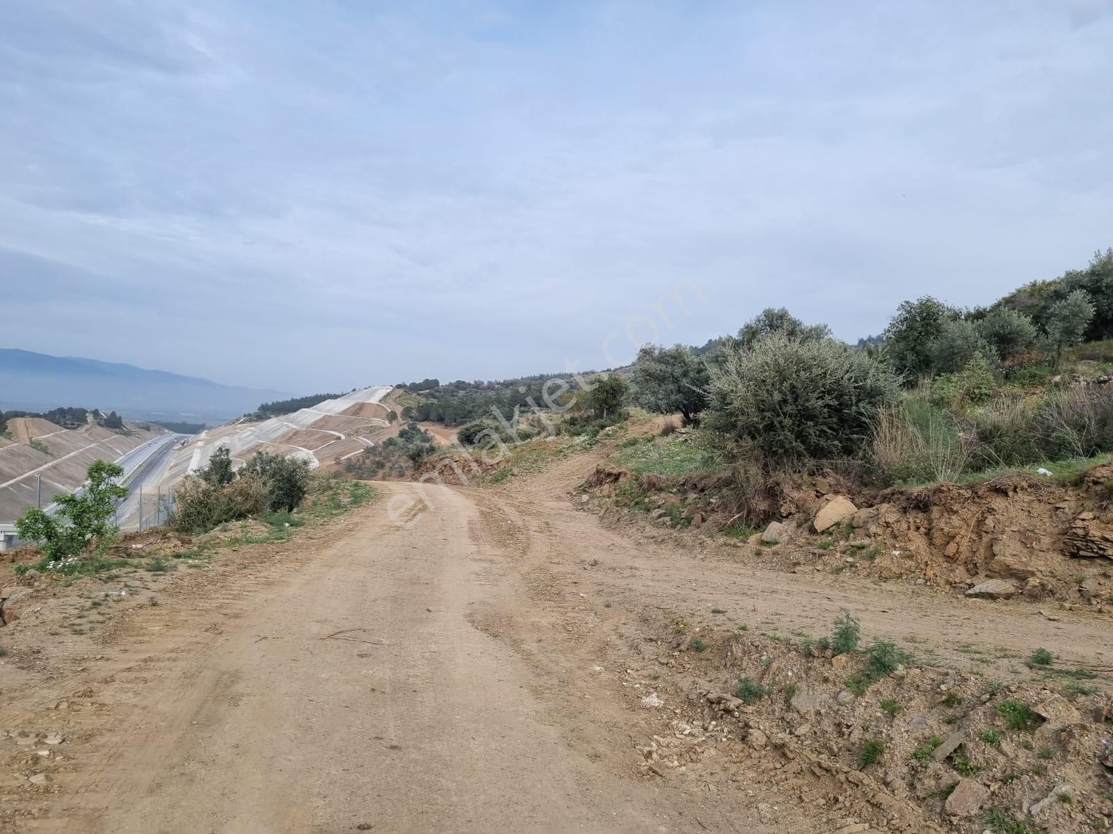 Aydın Nazilli Yöntem Emlaktan Yenipazar Donduran Mahallesine Yakın Satılık Zeytinlik - Görsel 18