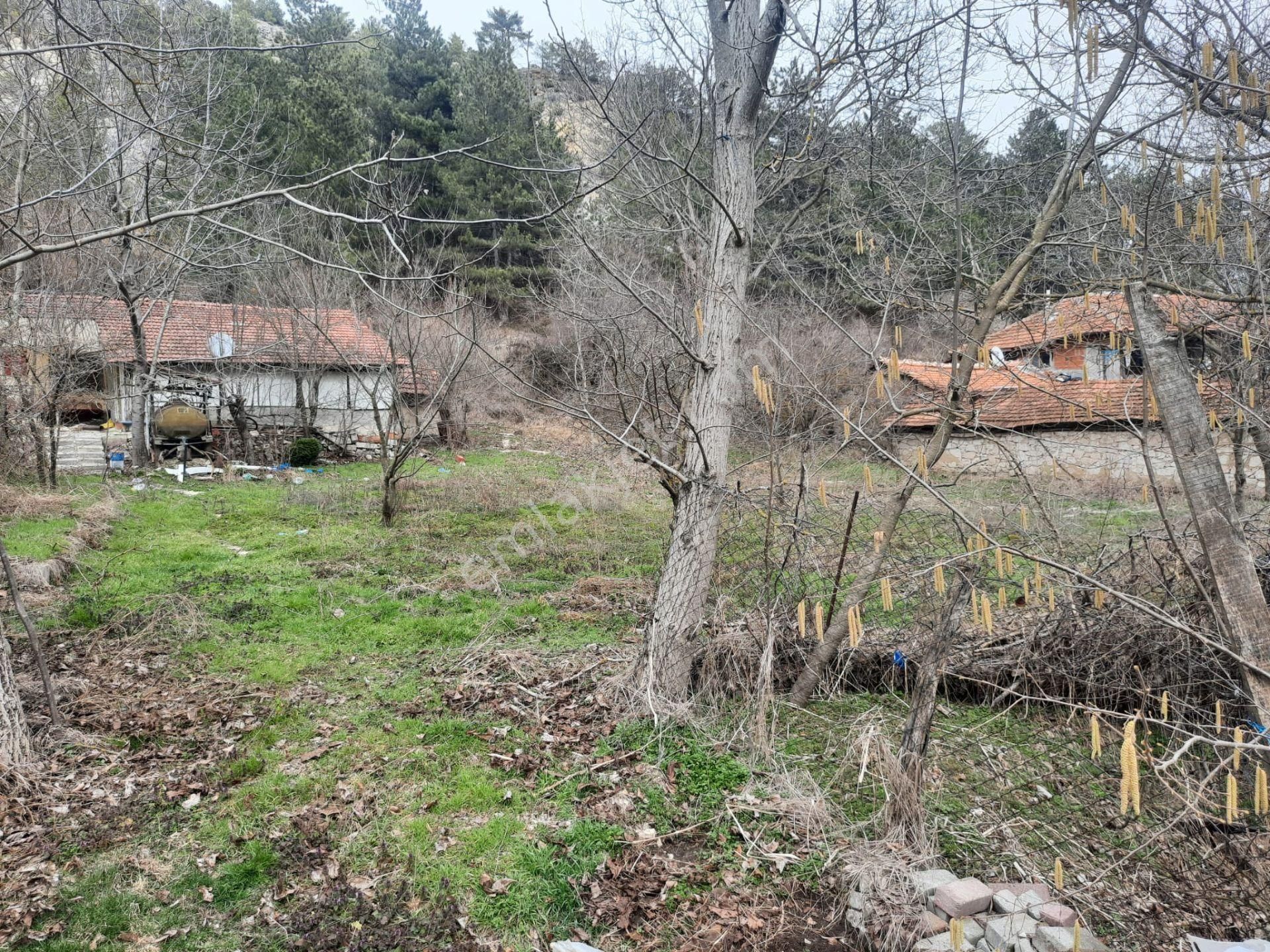 Kütahya Merkez Aydoğdu Satılık Özel Kullanım Kütahya Merkezde Aydoğdu Mevki Satılık Arsa Ve Kağır Evi