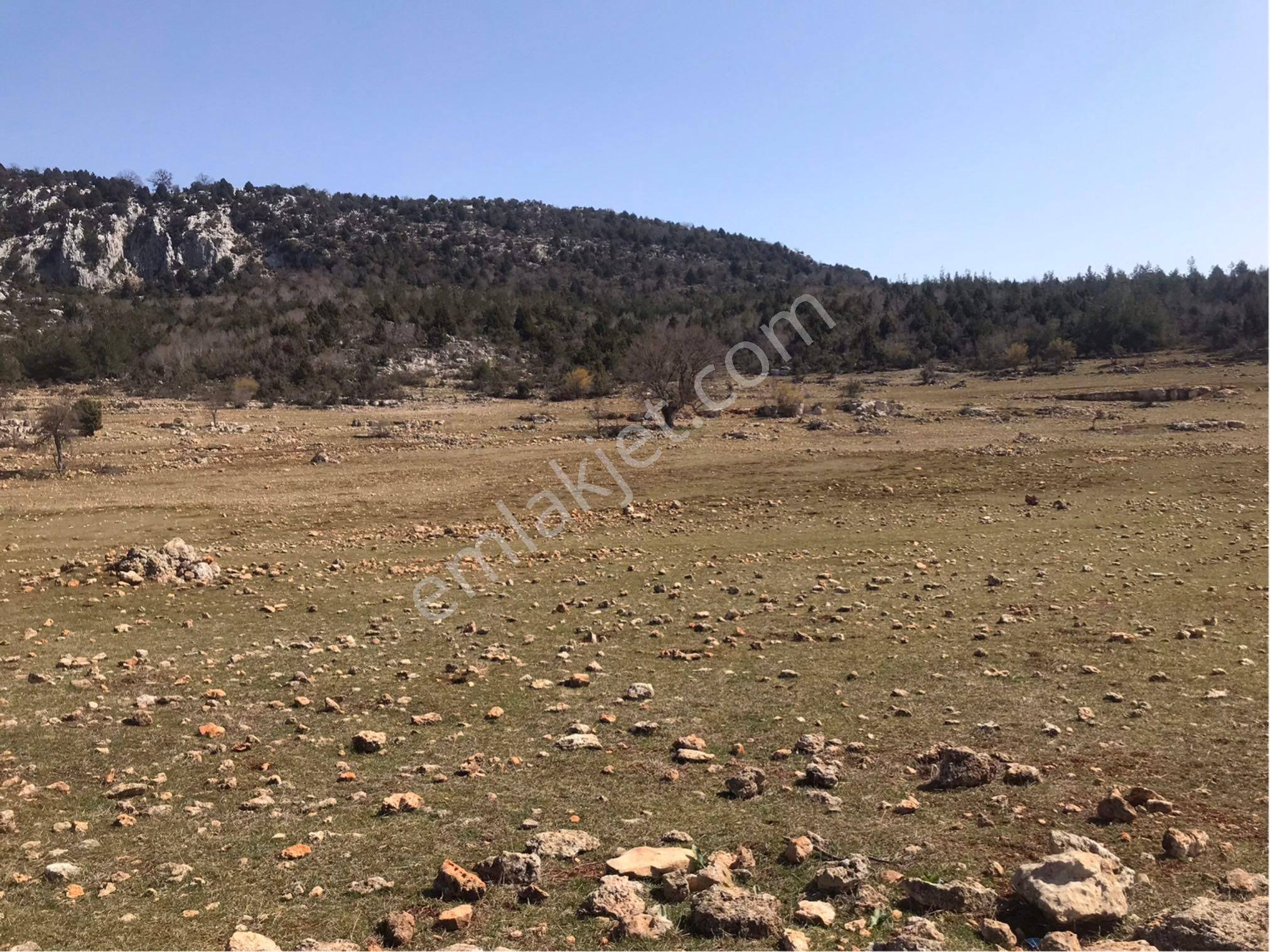 Yenişehir Değirmençay Satılık Arazi Sahibinden Satılık Arazi