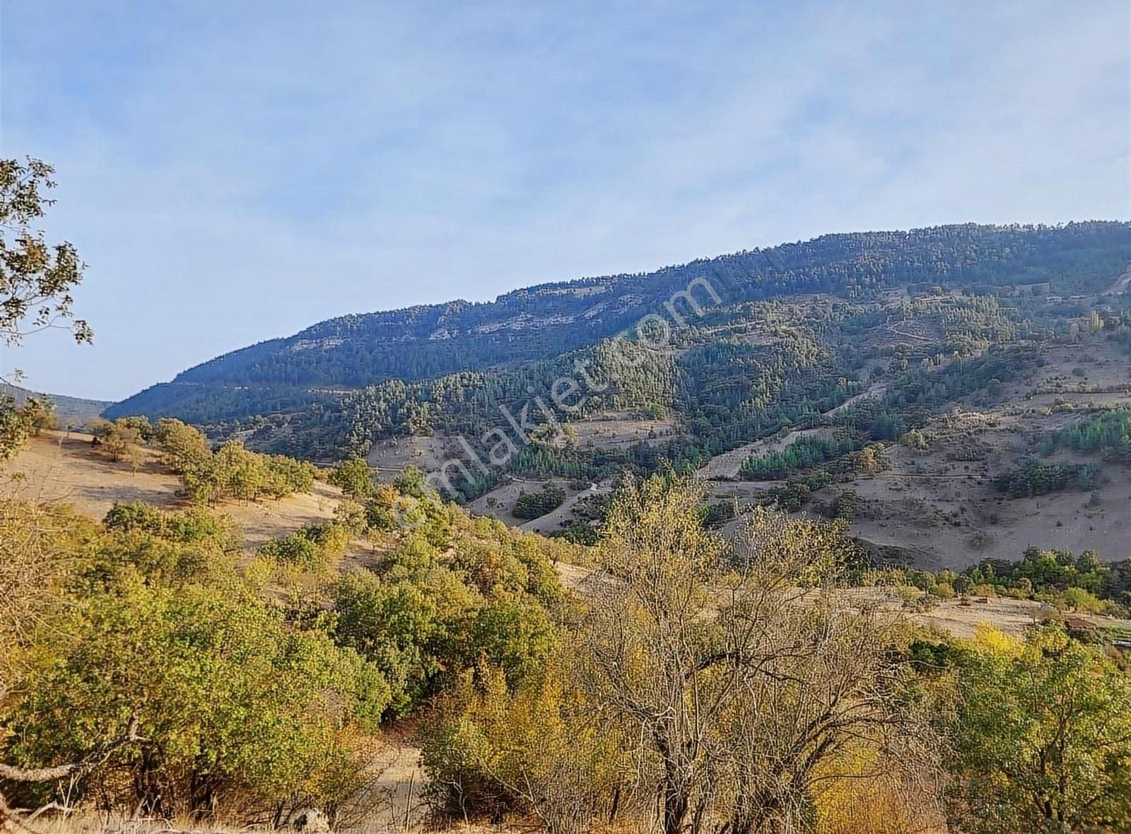 Dursunbey Delice Satılık Tarla Kolay Emlak'tan Kadastro Yoluna Cepheli Yatırımlık Tarla