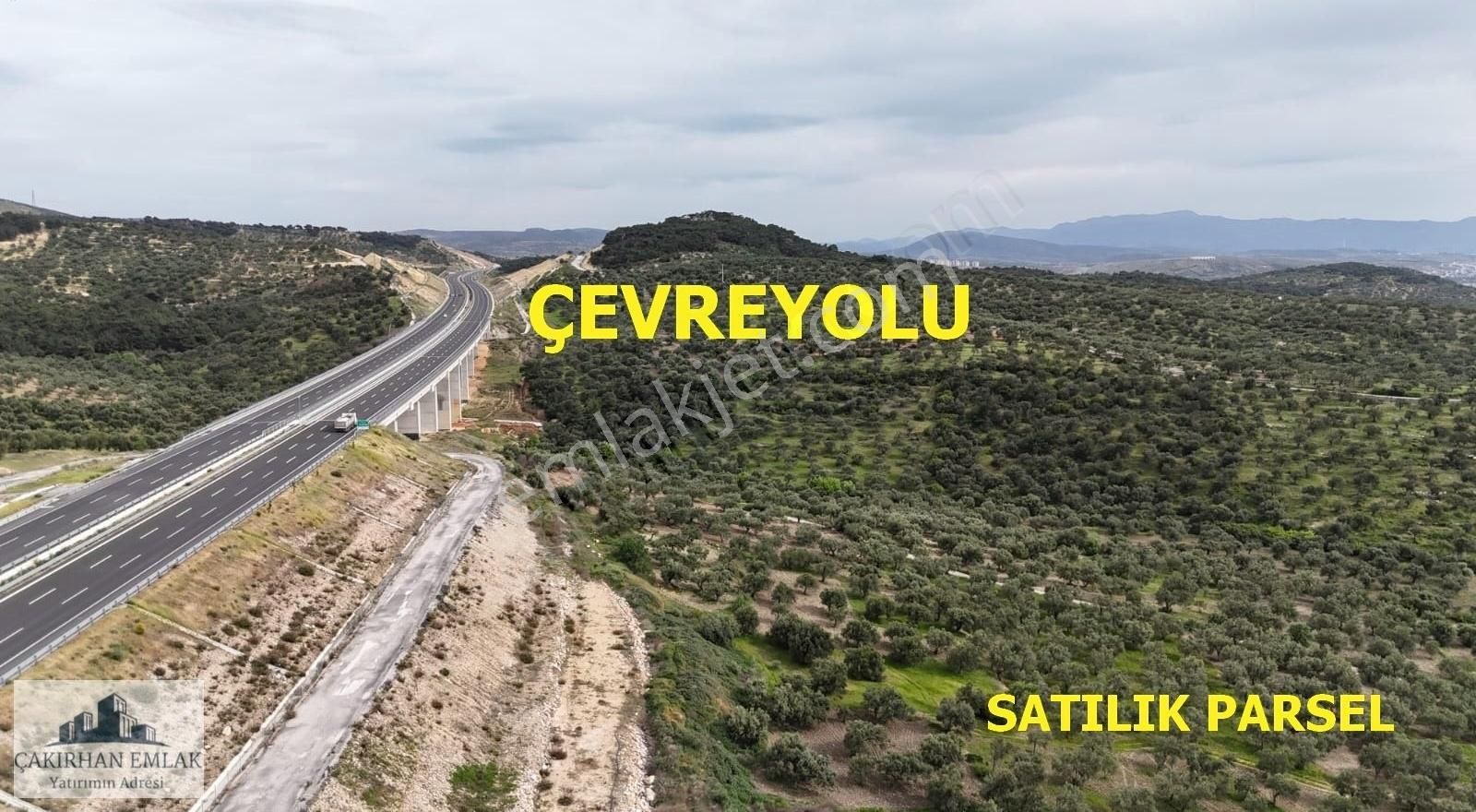 Aliağa Şakran Ilıca Mevki Satılık Uygun Fiyatlı Zeytinlik - Görsel 11