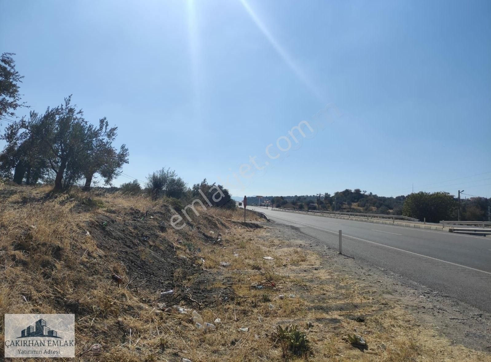 Çanakkale Asfaltına Sıfır Deniz Manzaralı Satılık Zeytinlik - Görsel 5