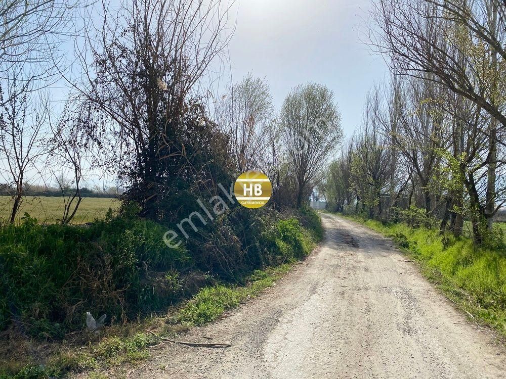 H'den Satılık Tarla, Kadastral Yol Cepheli Verimli Tarım Arazisi - Görsel 20