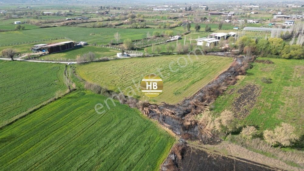 H'den Satılık Tarla, Kadastral Yol Cepheli Verimli Tarım Arazisi - Görsel 5