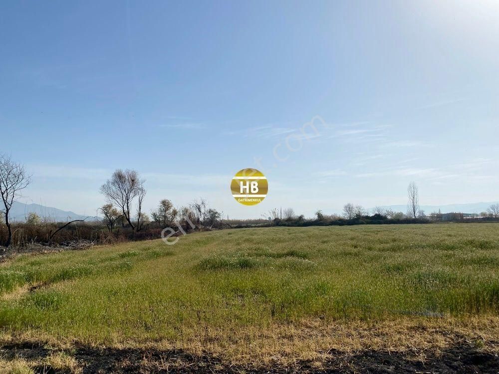 H'den Satılık Tarla, Kadastral Yol Cepheli Verimli Tarım Arazisi - Görsel 19