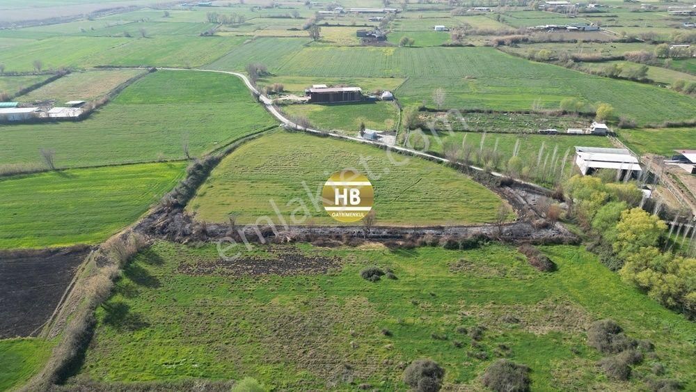 H'den Satılık Tarla, Kadastral Yol Cepheli Verimli Tarım Arazisi - Görsel 6