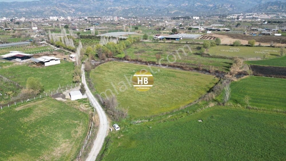 H'den Satılık Tarla, Kadastral Yol Cepheli Verimli Tarım Arazisi - Görsel 2