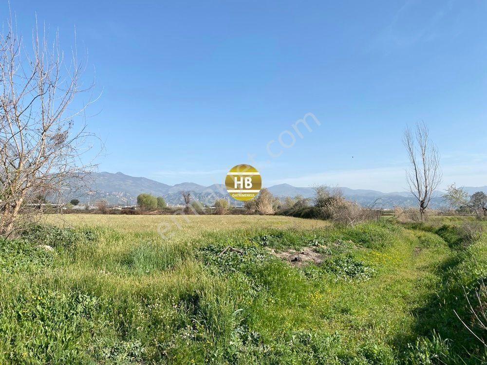 H'den Satılık Tarla, Kadastral Yol Cepheli Verimli Tarım Arazisi - Görsel 14