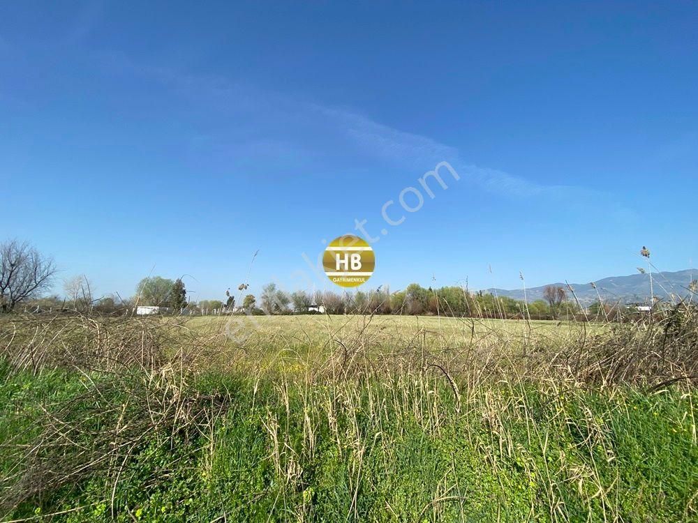 H'den Satılık Tarla, Kadastral Yol Cepheli Verimli Tarım Arazisi - Görsel 13