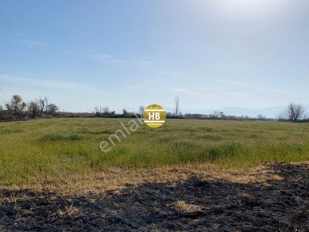 H'den Satılık Tarla, Kadastral Yol Cepheli Verimli Tarım Arazisi - Görsel 17
