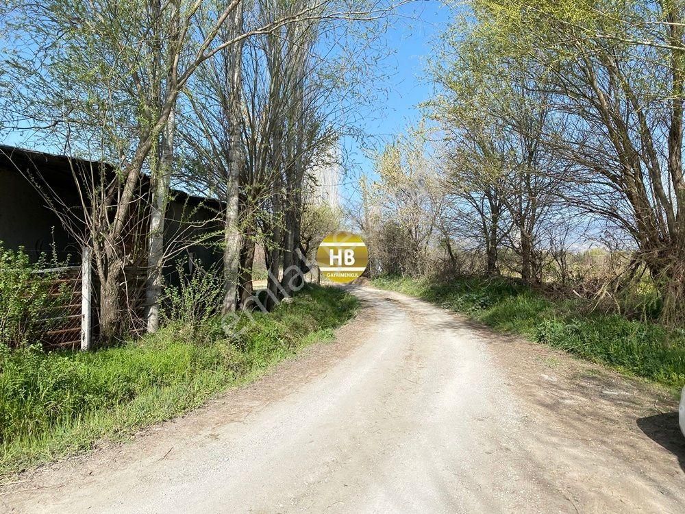 H'den Satılık Tarla, Kadastral Yol Cepheli Verimli Tarım Arazisi - Görsel 21