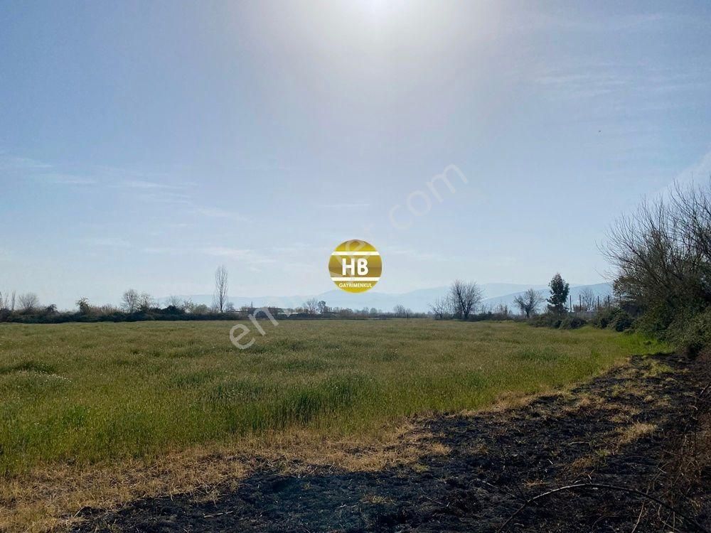 H'den Satılık Tarla, Kadastral Yol Cepheli Verimli Tarım Arazisi - Görsel 18