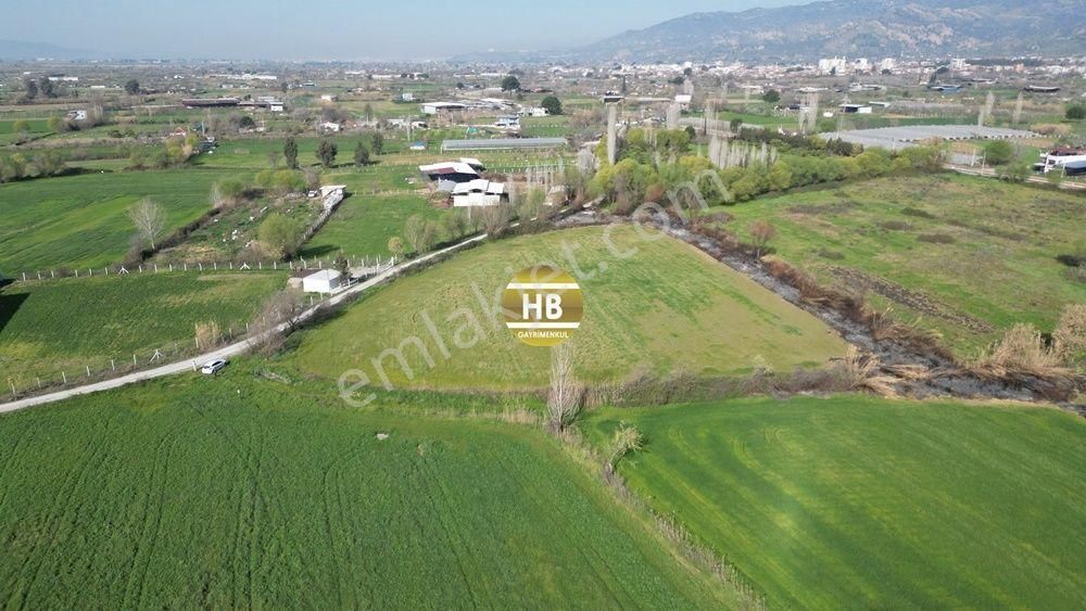 H'den Satılık Tarla, Kadastral Yol Cepheli Verimli Tarım Arazisi - Görsel 4