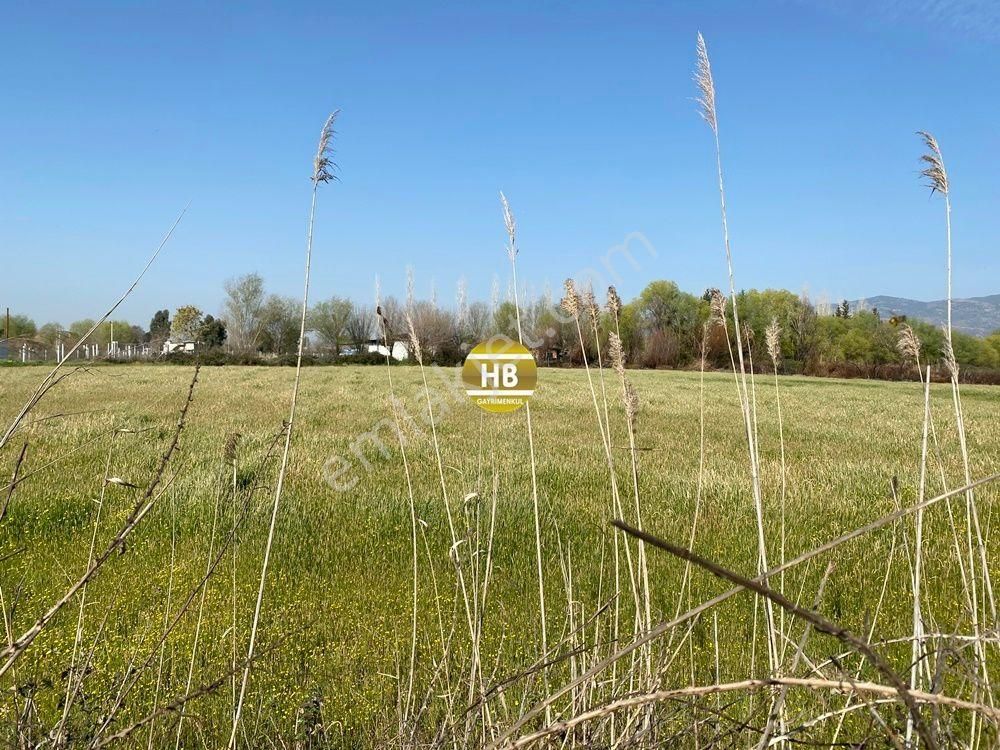 H'den Satılık Tarla, Kadastral Yol Cepheli Verimli Tarım Arazisi - Görsel 11