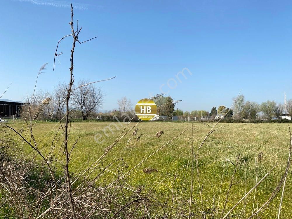 H'den Satılık Tarla, Kadastral Yol Cepheli Verimli Tarım Arazisi - Görsel 12