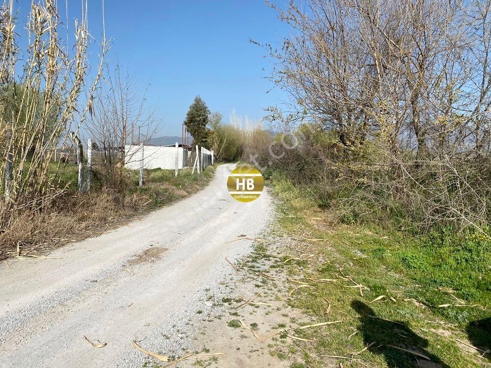 H'den Satılık Tarla, Kadastral Yol Cepheli Verimli Tarım Arazisi - Görsel 15