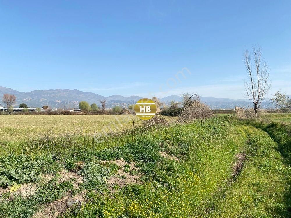 H'den Satılık Tarla, Kadastral Yol Cepheli Verimli Tarım Arazisi - Görsel 9